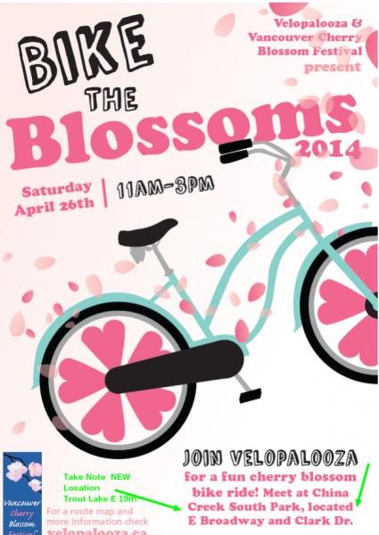 Bike The Blossoms   Vancouver Cherry Blossom Festival Vancouver Cherry Blossom Festival