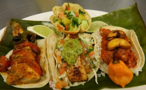 Trio of Fish Tacos Mexico Lindo