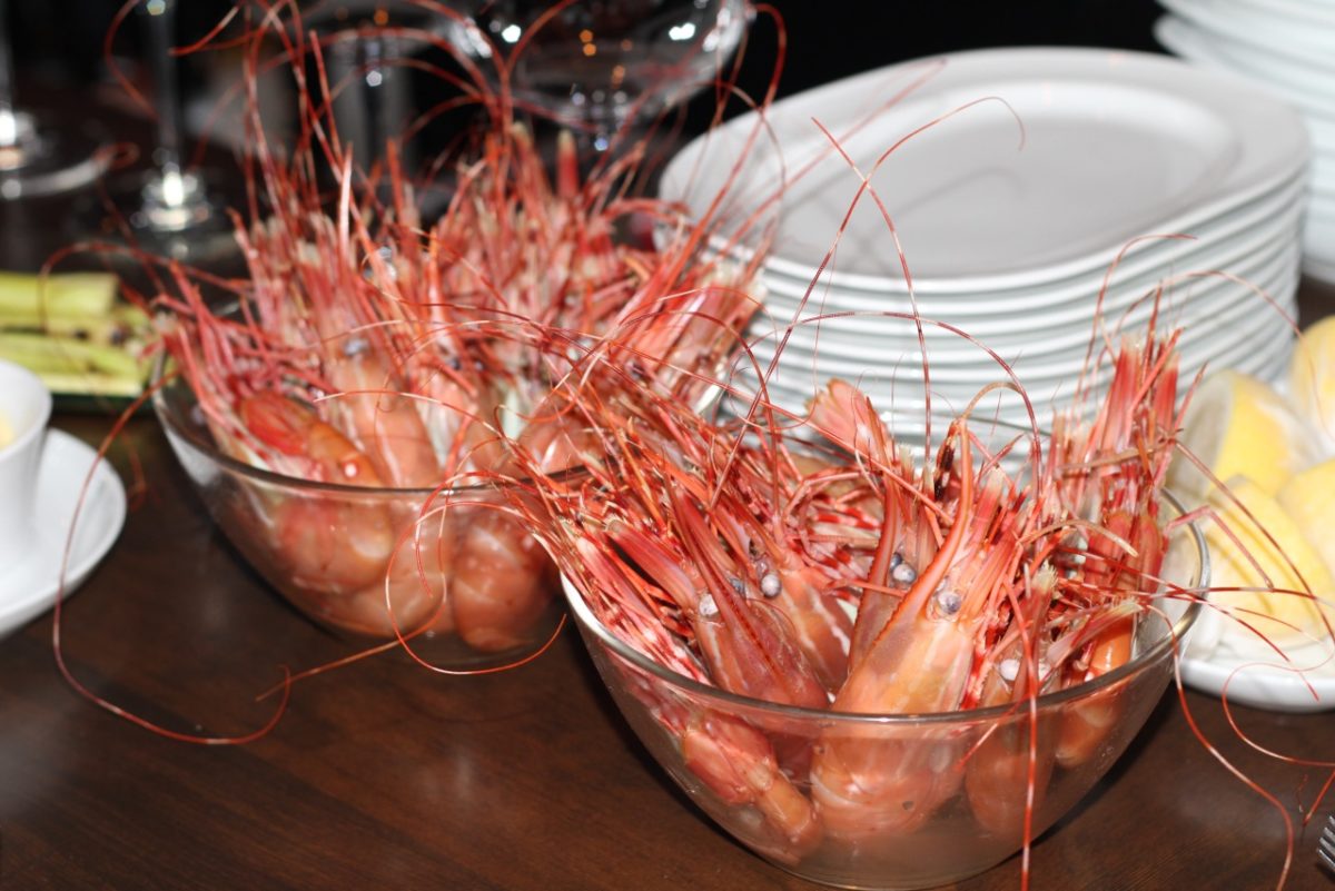 We’re Seeing Spots The Okanagan Spot Prawn Festival Returns! My VanCity