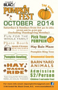 pumpkin fest