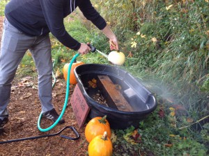 pumpkin shower