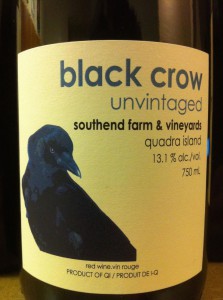 SouthEnd Black Crow-2