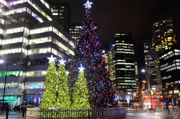 50 ft Christmas tree at Jack Poole Plaza