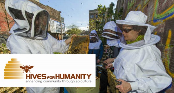 Hives-for-Humanity-750x402