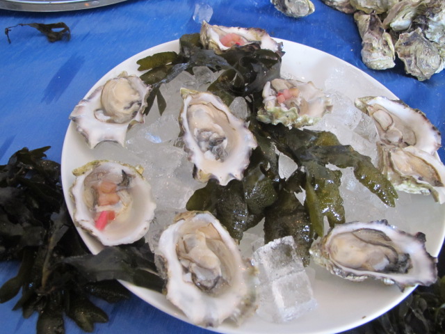 RBuchanan photo: Selection of oysters