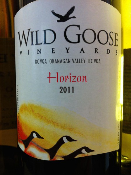 Wild Goose 2011 Horizon