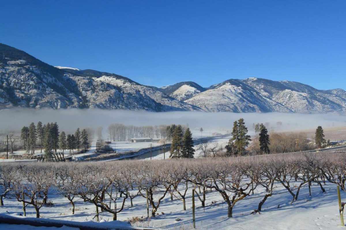 Similkameen Wineries Association becomes Similkameen Independent ...