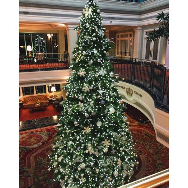 Christmas Tree in the Lobby of the Fairmont Empress