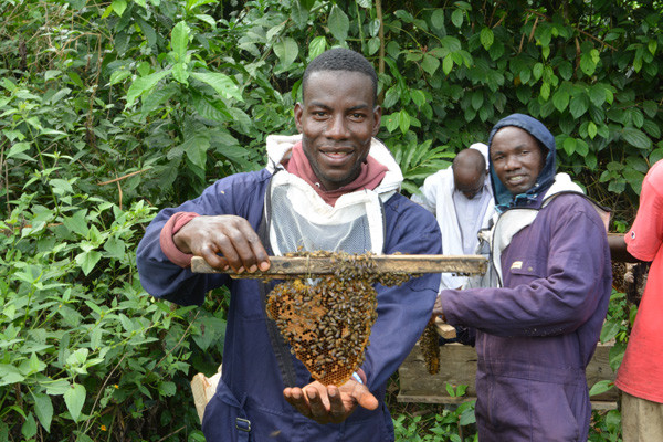 Universal Ourtreach Bee Keeping 1