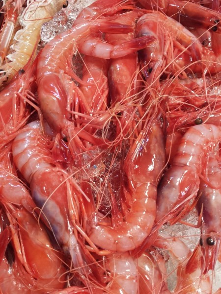 prawns-697758_1280