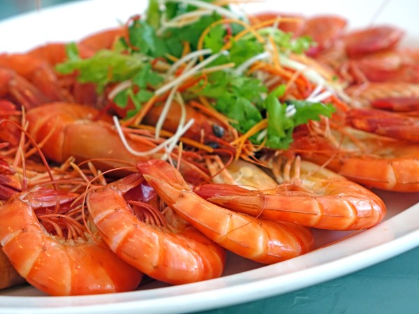 prawns-959219_1920