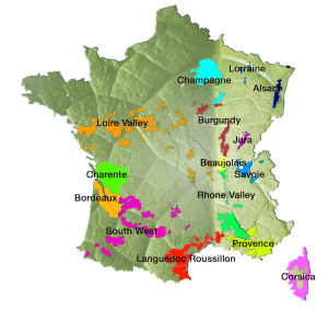 apvsa wine map