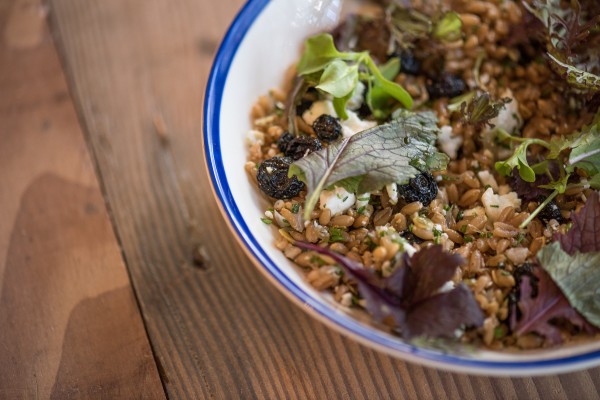 Wheat Berries photo credit Fred Fung