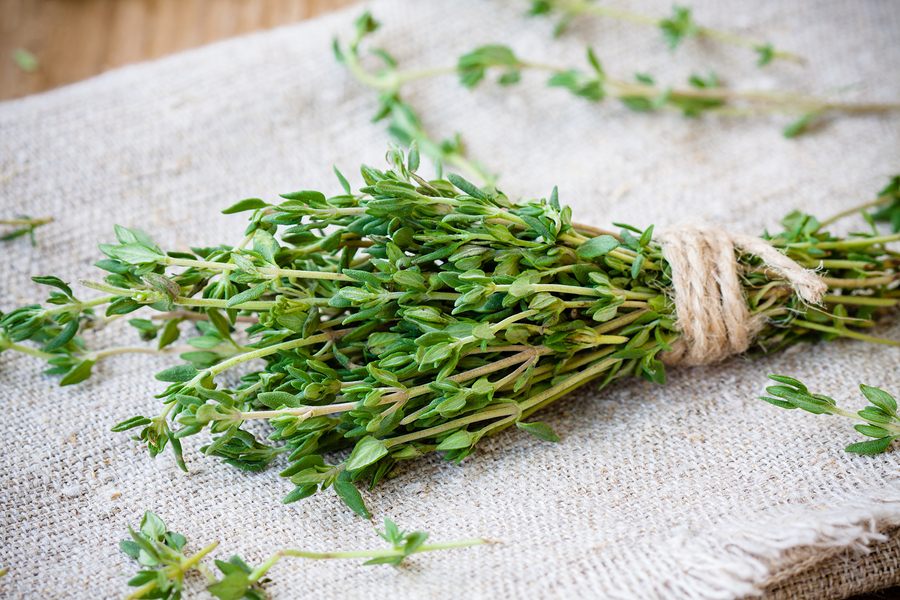 Thyme stress and fatigue