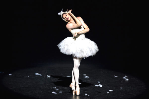 The Dying Swan - photo by Marcello Orselli