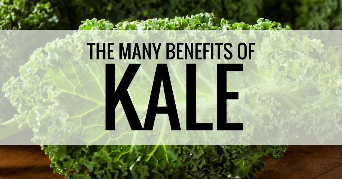 The Many Benefits of Kale My VanCity