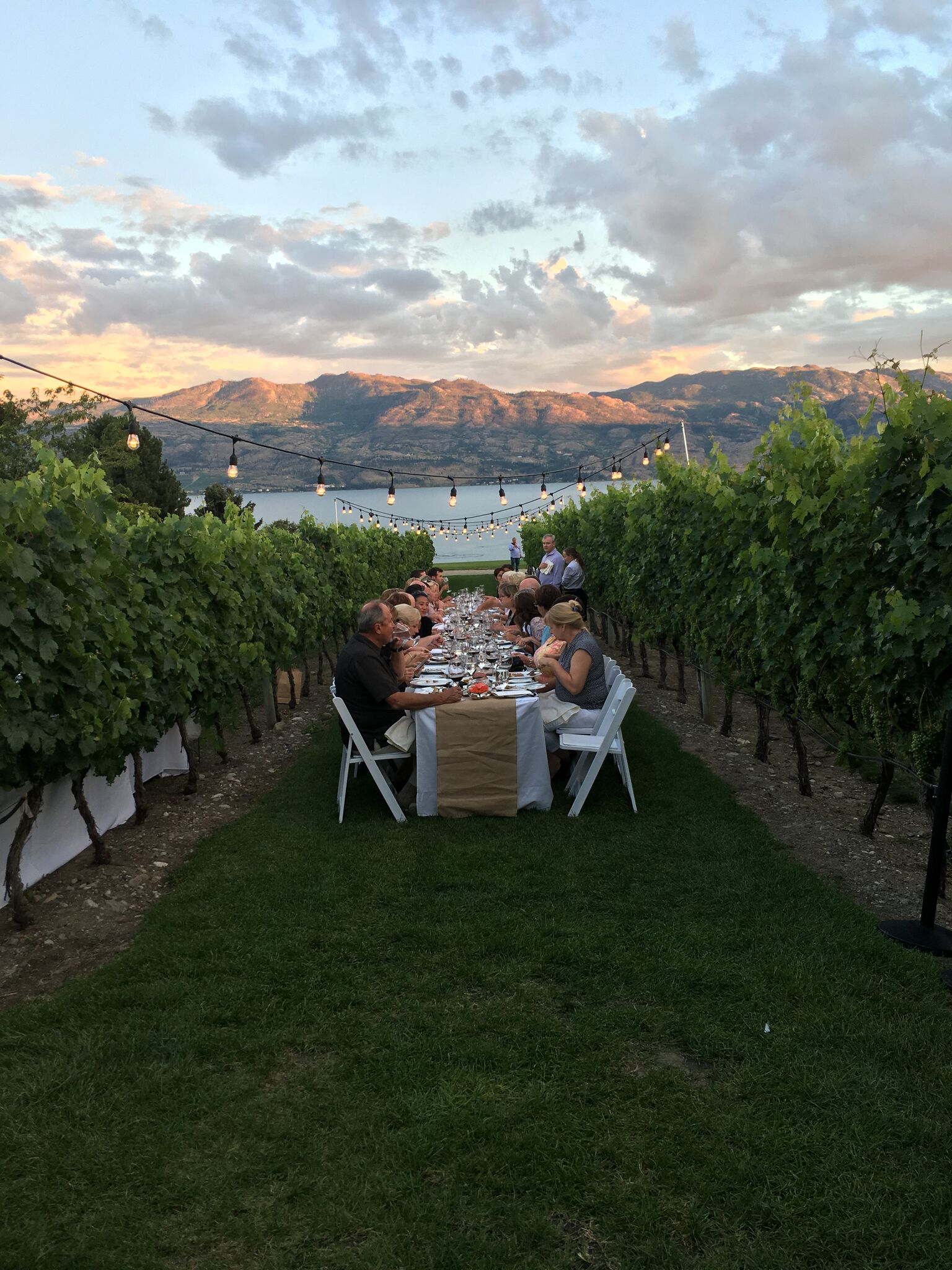 Summer dining with Quails’ Gate Dinner in the Vineyard series My VanCity