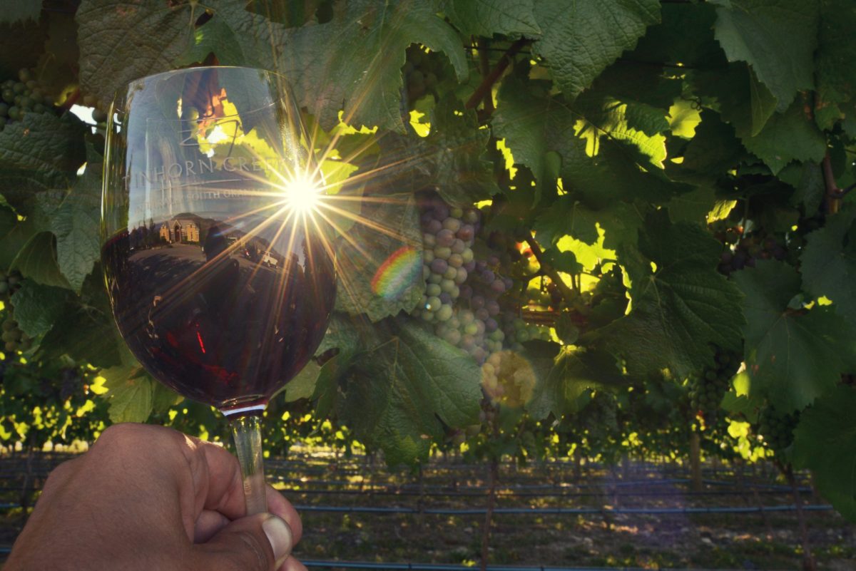 Whirlwind Okanagan Trip Wine Tasting Experiences Tinhorn Creek My