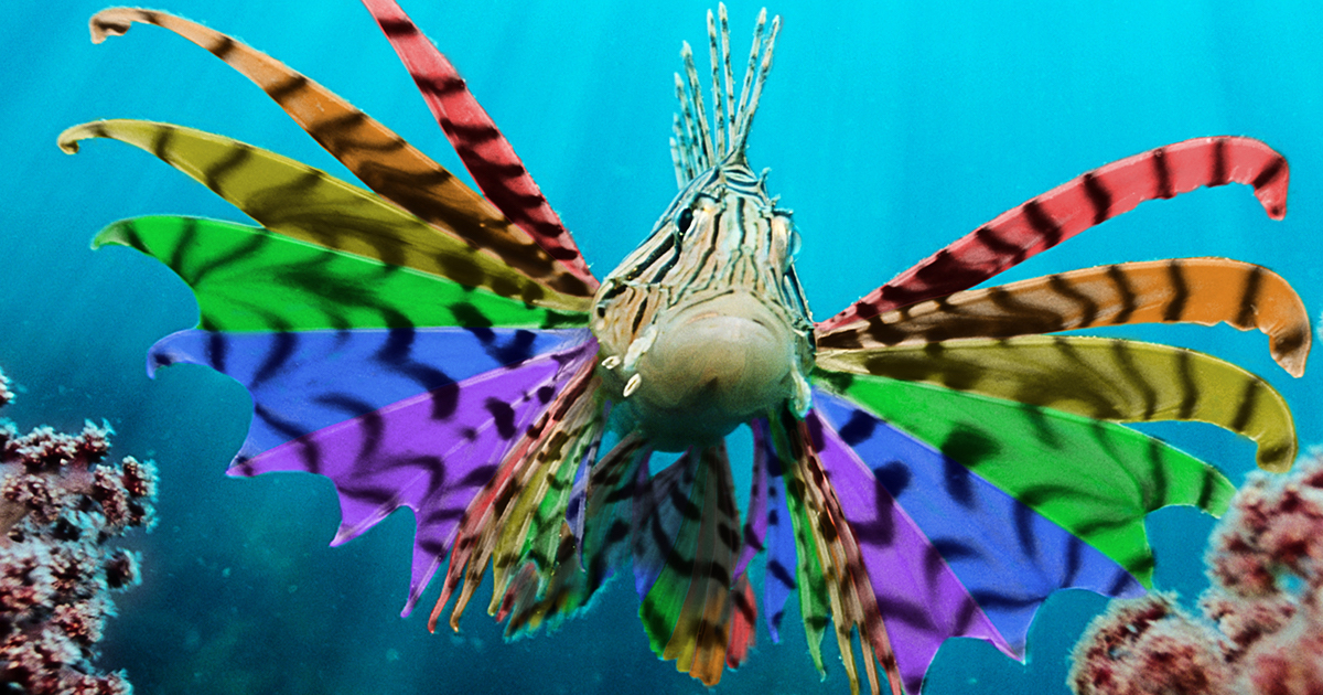 YOU BETTER WORK, FISH! CELEBRATE PRIDE AT VANCOUVER AQUARIUM’S AFTER