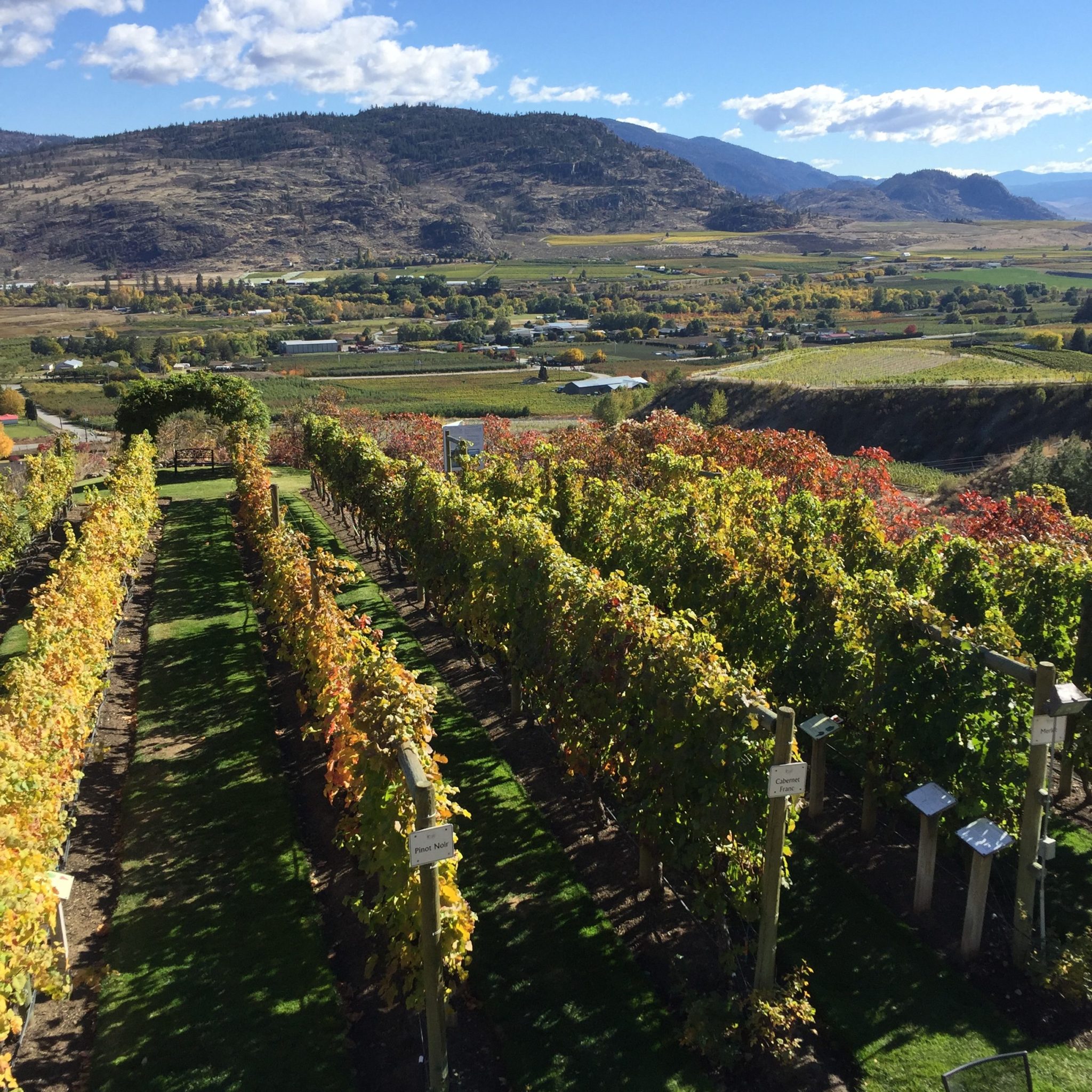 Fall in love with food this autumn at Tinhorn Creek Vineyards My VanCity