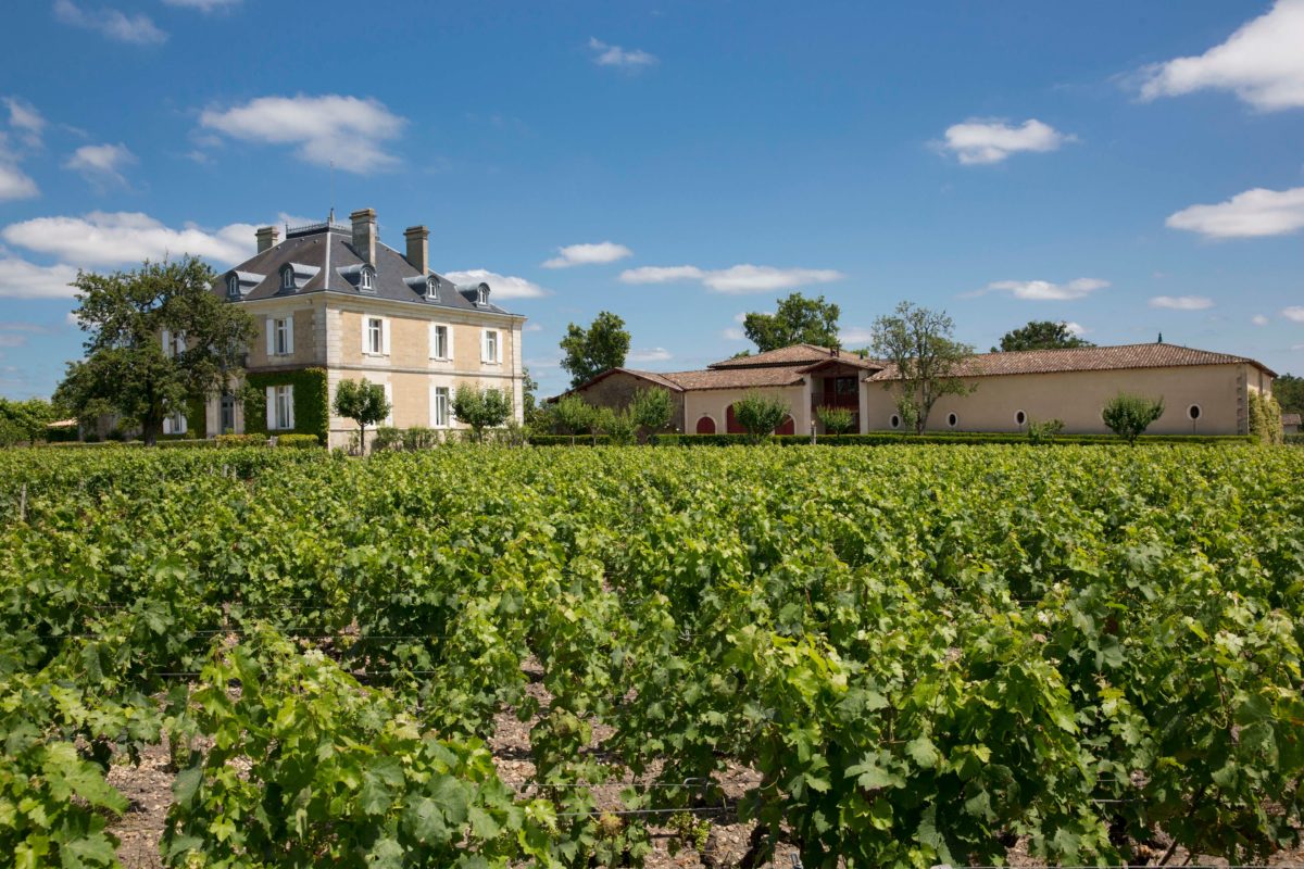 All About the Wines of Chateau Haut-Bailly - My VanCity