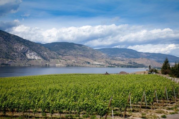 Top Okanagan Falls’ Wines Poured At Spring Tasting In Vancouver - My 