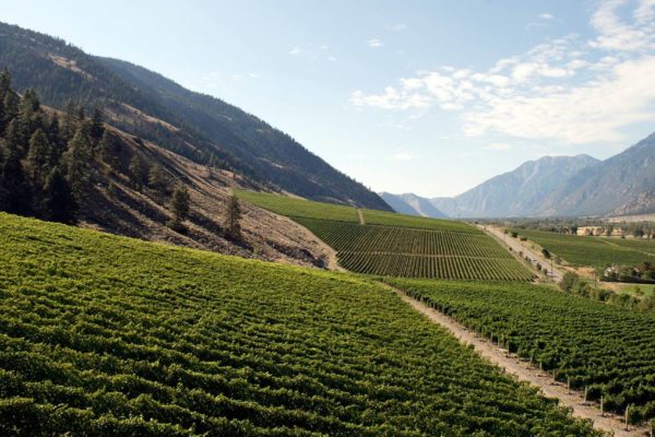 Join Master Winemaker Howard Soon for a Wine Dinner featuring Vanessa Vineyard at Glowbal March 26
