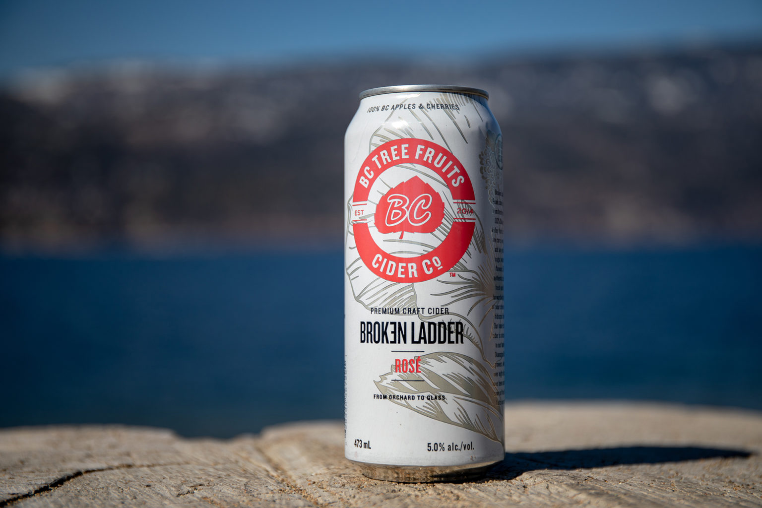 BC Tree Fruits Cider Co. Wins Gold, Best Cider of the Year at 2019