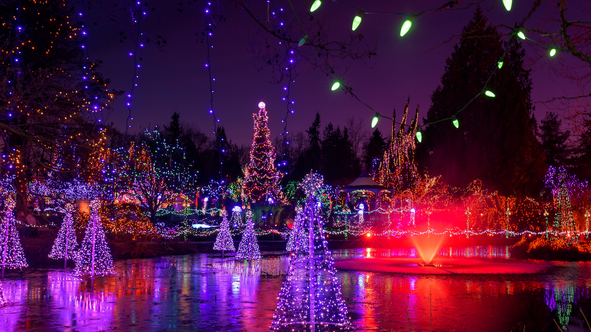 Festival Of Lights Illuminates Vandusen Botanical Garden This